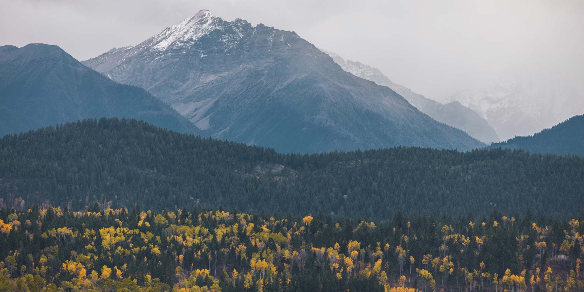 Snow-capped mountain peak above the Columbia Valley forest